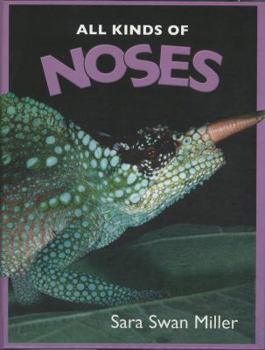 Library Binding All Kinds of Noses Book