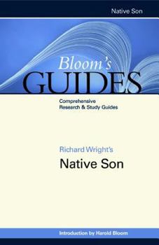 Hardcover Richard Wright's Native Son Book