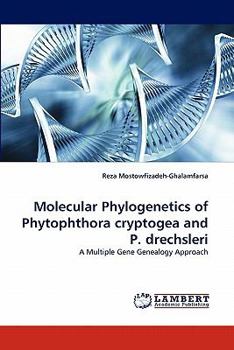 Paperback Molecular Phylogenetics of Phytophthora Cryptogea and P. Drechsleri Book