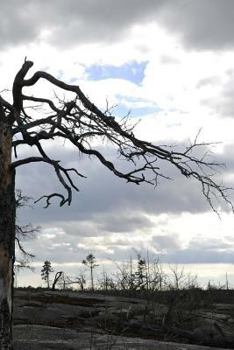 Paperback Barren Notebook Book