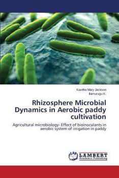 Rhizosphere Microbial Dynamics in Aerobic paddy cultivation: Agricultural microbiology- Effect of bioinoculants in aerobic system of irrigation in paddy