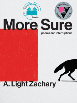 Paperback More Sure Book