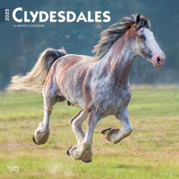 Calendar Clydesdales 2025 12 X 24 Inch Monthly Square Wall Calendar Plastic-Free Book