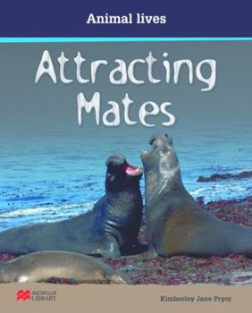 Paperback Attracting Mates (Animal Lives - Macmillan Library) Book