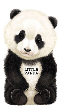 Board book Little Panda Book