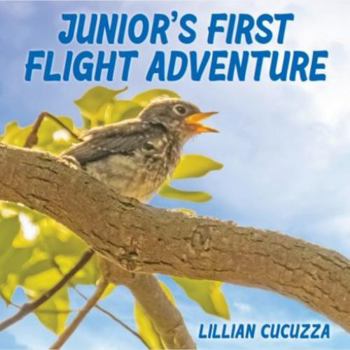 Paperback Junior's First Flight Adventure Book