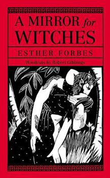Paperback Mirror for Witches a Book