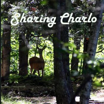 Paperback Sharing Charlo: 2013 Book