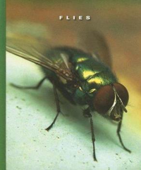 Library Binding Flies Book