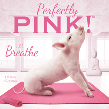 Calendar 2022 Perfectly Pink Wall Book