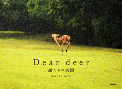 Paperback Dear Deer [Japanese] Book