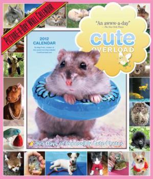 Cute Overload Wall Calendar: 365 Days of Impossibly Cute Photos