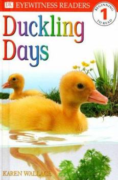 Hardcover DK Readers L1: Duckling Days Book