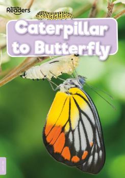 Paperback Caterpillar to Butterfly (BookLife Readers) (BookLife Non-Fiction Readers) Book