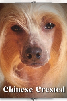 Paperback Chinese Crested: Dog breed overview and guide Book