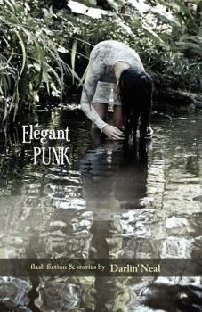Paperback Elegant Punk Book