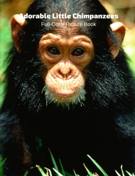 Adorable Little Chimpanzees Full-Color Picture Book: Animals Photography Book