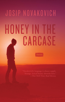 Paperback Honey in the Carcase: Stories Book