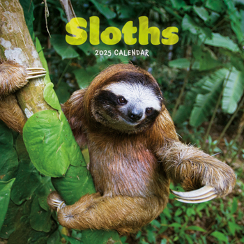 Calendar 2025 Sloths Mini calendar: Plastic Free Packaging Book