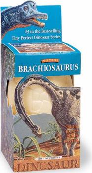 Paperback Brachiosaurus: Tiny Perfect Dinosaur Series Book
