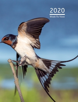 Paperback 2020 A4 Diary Week To View Planner For All Occasions: - Year Planner For Business, Office, Home, University, College, School, Appointments, Organizer. Book