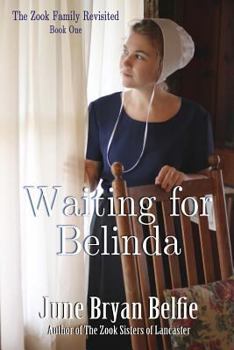 Waiting for Belinda - Book #1 of the Zook Family Revisited