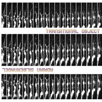Paperback Transitional Object Book