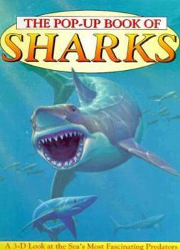 Hardcover Sharks Book