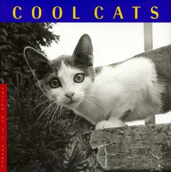 Hardcover Cool Cats Book