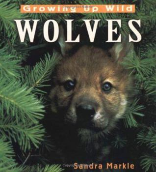 Hardcover Growing Up Wild: Wolves Book
