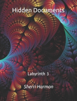 Paperback Hidden Documents: Labyrinth 3 Book