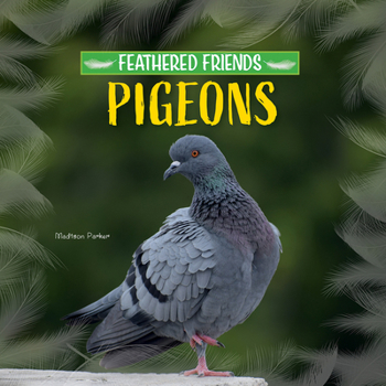 Paperback Pigeons Book