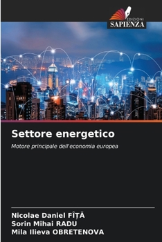 Paperback Settore energetico [Italian] Book