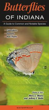 Pamphlet Butterflies of Indiana: A Guide to Common and Notable Species Book