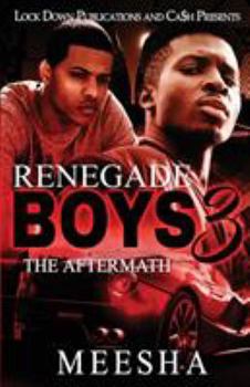 Paperback Renegade Boys 3: The Aftermath Book