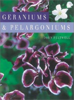 Paperback Geraniums and Pelargoniums Book