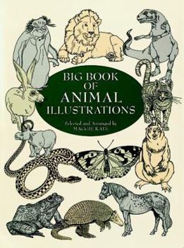 Paperback Big Book of Animal Illustrations Book