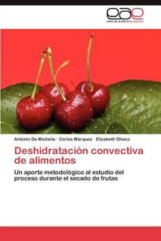 Paperback Deshidratacion Convectiva de Alimentos [Spanish] Book