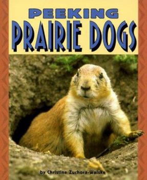 Paperback Peeking Prairie Dogs Book