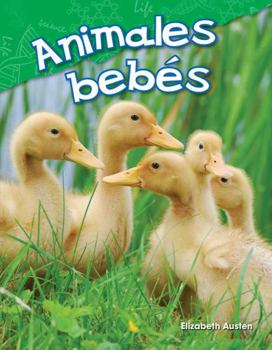 Paperback Animales Bebés [Spanish] Book