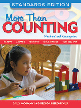 Paperback More Than Counting: Math Activities for Preschool and Kindergarten Book