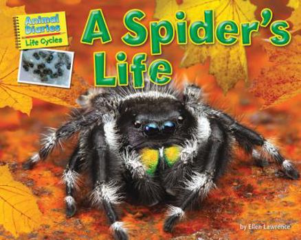 Library Binding A Spider's Life Book