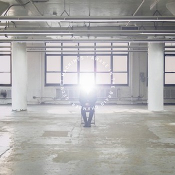 Vinyl Awake In The Brain Chamber Book