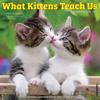 Calendar What Kittens Teach Us 2025 12 X 12 Wall Calendar Book