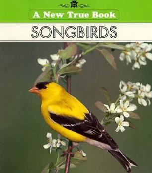 Paperback New True Books: Songbirds Book