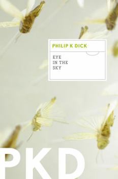 Paperback Eye in the Sky Book