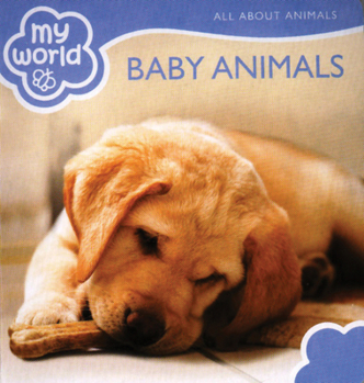 Board book Baby Animals Book