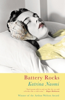 Paperback Battery Rocks Book