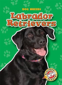 Library Binding Labrador Retrievers Book