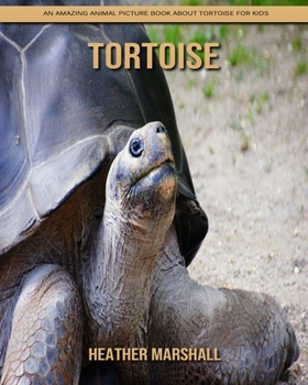 Paperback Tortoise: An Amazing Animal Picture Book about Tortoise for Kids Book